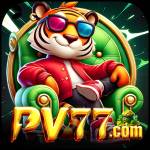 bv77 bv77 Profile Picture