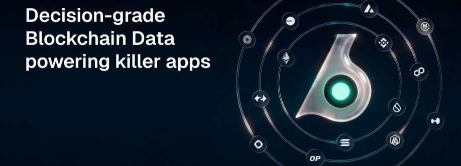 Birdeye Data Cover Image