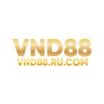 VND88 Profile Picture