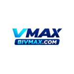 Bivmax com Profile Picture