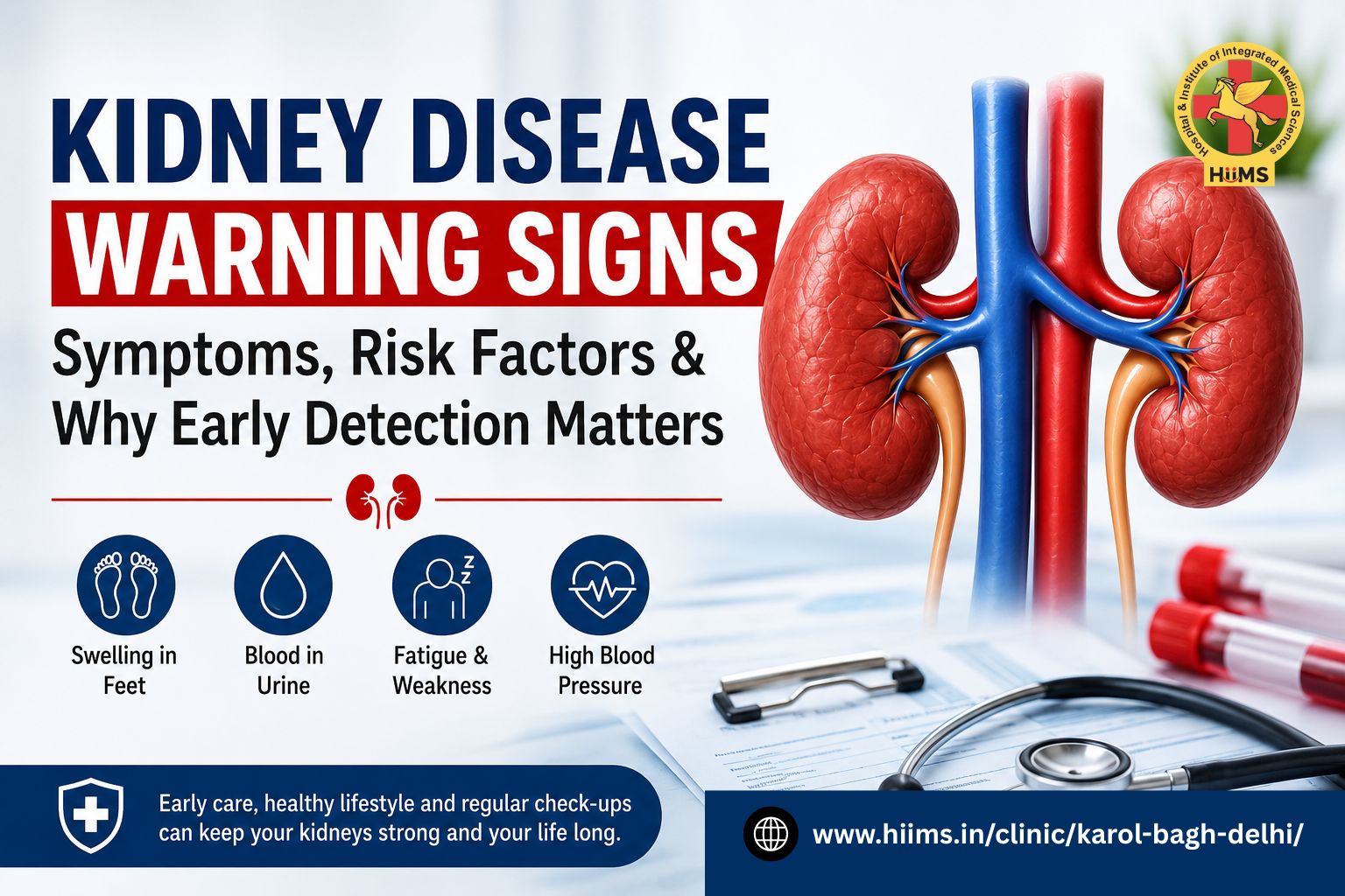 Kidney Disease Warning Signs: Symptoms, Risk Factors & Why Early Detection Matters - Blogingers