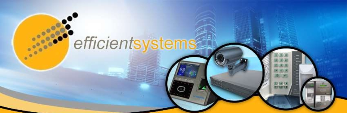 Efficient Systems Pte Ltd Cover Image
