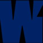Wisly Consulting Profile Picture