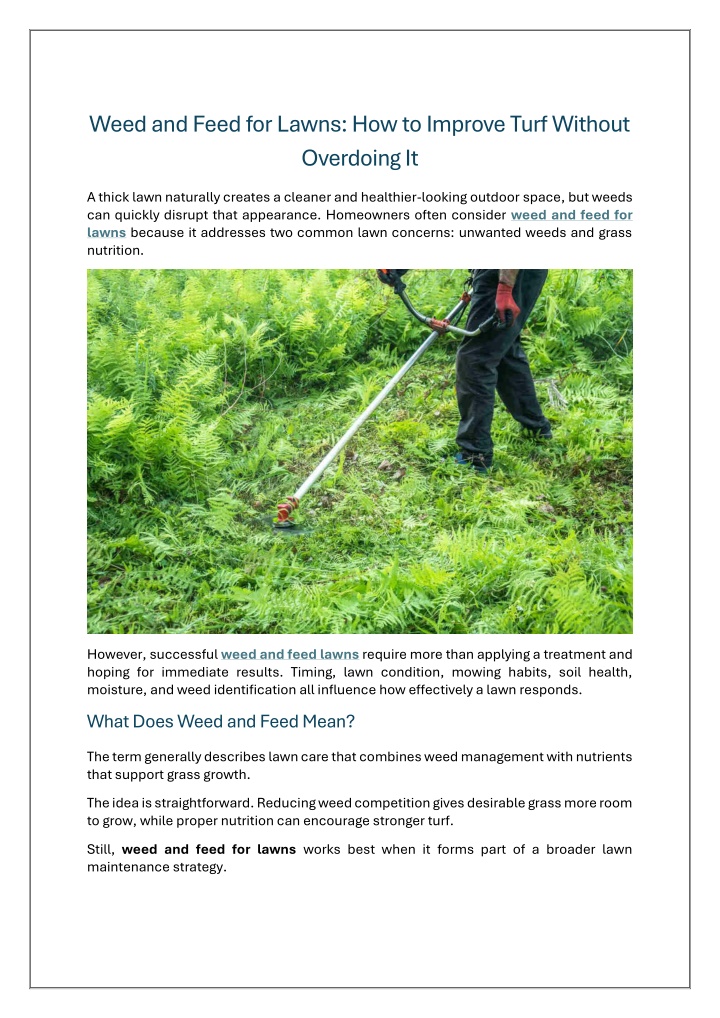Weed and Feed for Lawns How to Improve Turf Without Overdoing It PowerPoint Presentation - ID:14893430