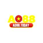 AO88 Profile Picture