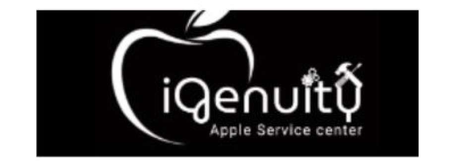 Ingenuity service Cover Image