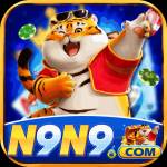 n9n9 n9n9 Profile Picture