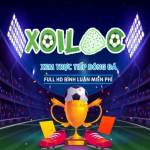 Xoi Lac TV Profile Picture