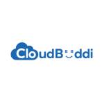 Cloud Buddi Profile Picture