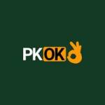 PKOK net Profile Picture