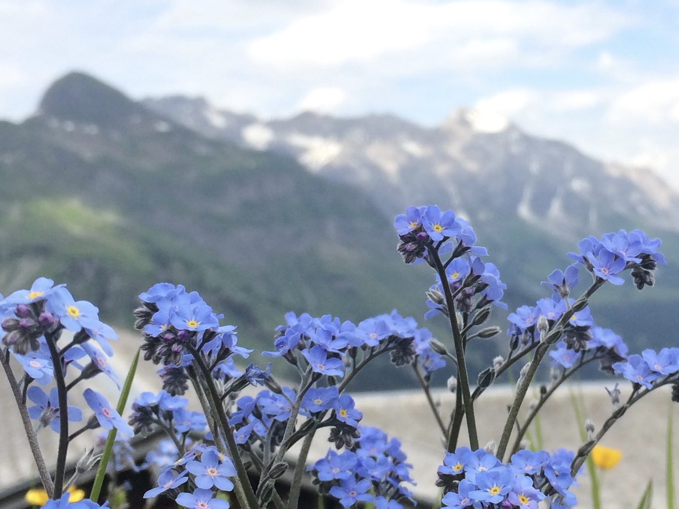 Darmflora Aufbau Zürich-Wollishofen | Naturheilpraxis - Heilwesen