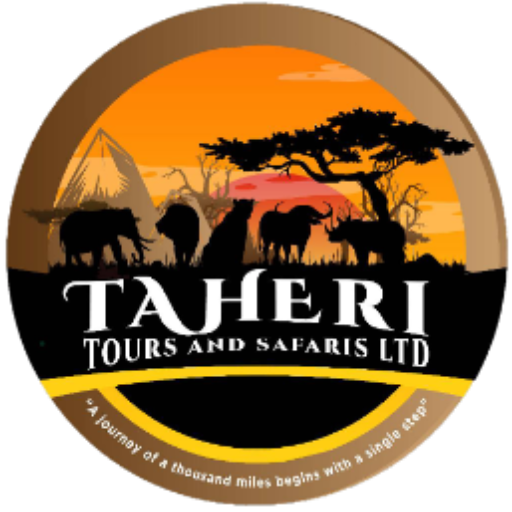 Best Affordable Ngorongoro Crater Safari Tours