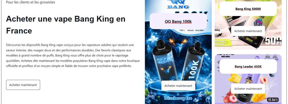 Acheter une vape Bang King en France Cover Image