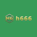 H666 Game Profile Picture