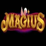 Magius Italia Profile Picture