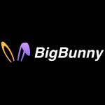 BIGBUNNY 8net Profile Picture