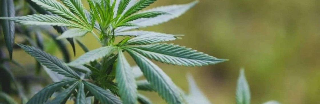 420 Accounting Services Cover Image