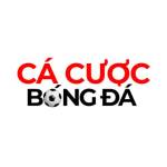 cacuocbongda10 com Profile Picture