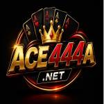 ACE444 Profile Picture
