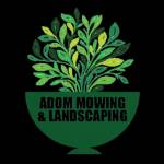 adom mowing Profile Picture