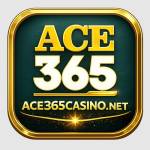 ace365casino net Profile Picture
