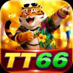 tt6 tt6 Profile Picture