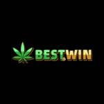 BestWin Casino Profile Picture