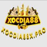 Nhà cái Xocdia88 Profile Picture