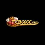 CB666 Profile Picture