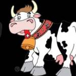 Fryburger Gourmet Morat Profile Picture