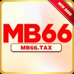 mb66 tax Profile Picture