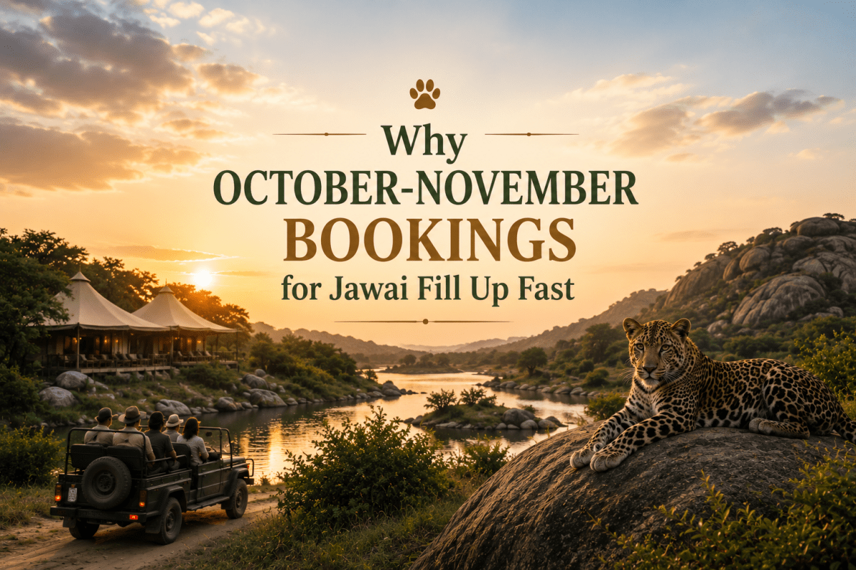 Why October-November Bookings for Jawai Fill Up Fast – Agvani Resort Jawai