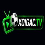 Xoigac TV Profile Picture