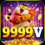 9999v 9999v Profile Picture