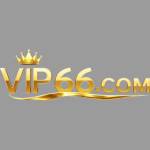 Vip66 training Profile Picture
