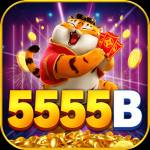 5555b 5555b Profile Picture