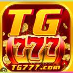 tg777 tg777 Profile Picture
