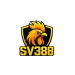 Sv388 jp net Profile Picture