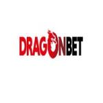 Dragonbet United Kingdom Profile Picture