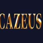 CaZeus casino België Profile Picture