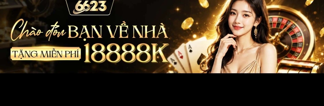 6623 Vnnet Cover Image