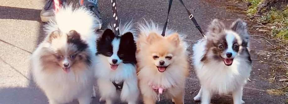 Heartlove Poms Cover Image