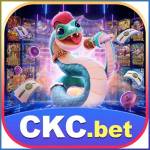 ckcbet ckcbet Profile Picture