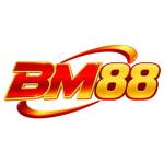 BM 88 Profile Picture
