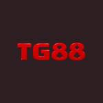 tg88 4top Profile Picture