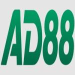 AD88 88 Profile Picture